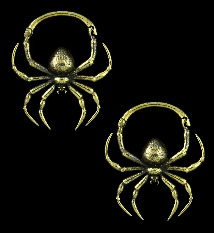 Victorian style earrings-Spider Brass Hinged Ear Weights